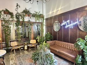 Great vibe  at Sleepyhead Coffee in Chattanooga