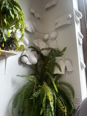   at Sleepyhead Coffee in Chattanooga