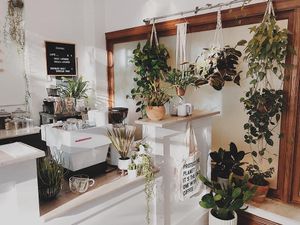 Cafe  at Sleepyhead Coffee in Chattanooga