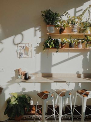 Cafe  at Sleepyhead Coffee in Chattanooga