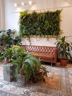 Beautiful sitting area at Sleepyhead Coffee in Chattanooga