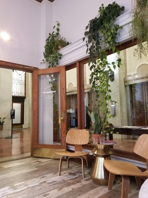 Sitting area at Sleepyhead Coffee in Chattanooga