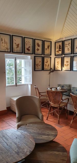 Interior at Rabaçal Nature Spot Café in Estreito Da Calheta