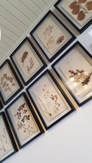  at Rabaçal Nature Spot Café in Estreito Da Calheta