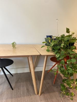 Decor at Olena Cafe in Honolulu