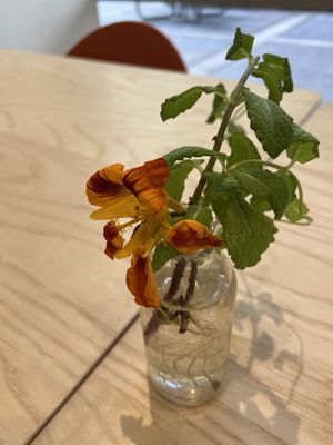 Decor at Olena Cafe in Honolulu