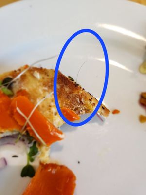 The offending hair. at Olena Cafe in Honolulu