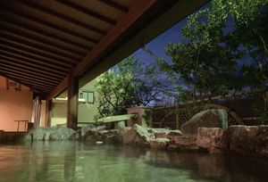 Natural hot spring at Ryokan Ayunosato in Hitoyoshi