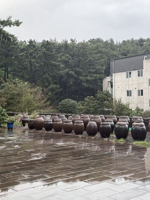 Jangdokdae. Jang (Fermented sauce) in the pots!   at Puleunsolmalg Eunhyang 푸른솔맑은향 in Jeju