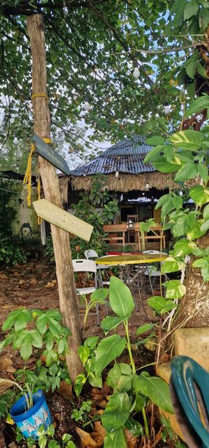 Terrace at Cool Beans in Flores