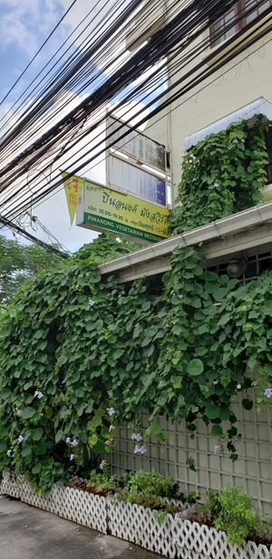 Sign outside at Pinanong in Bangkok