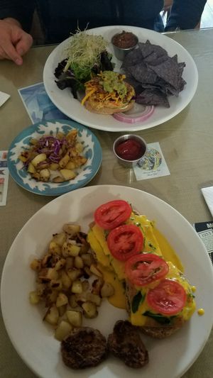 Vegan Benedict and Hemp Burger  at Morning Glory Cafe in Flagstaff