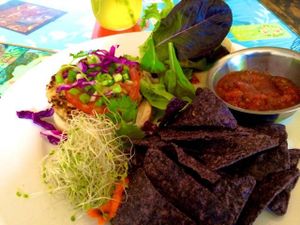 Hemp Burger with Vegan Cheese. at Morning Glory Cafe in Flagstaff