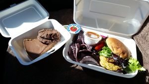 Hemp burger from Morning Glory Cafe at Morning Glory Cafe in Flagstaff