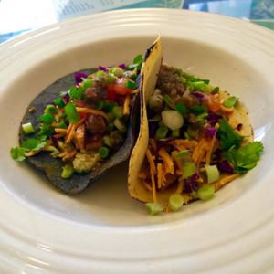 Mo'Glo Tacos.  Grilled Tofu, Creamy Avocado, Spicy Salsa & Fresh Veggies.  Delicious!  at Morning Glory Cafe in Flagstaff