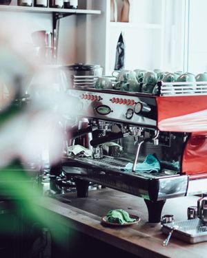 The heart. at Kafi Freud in Zurich