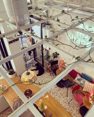 Mother at Mother Vegan Bistro in Athens