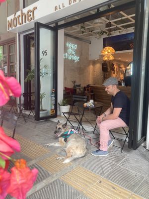 Mother Vegan Cafe Bistro at Mother Vegan Bistro in Athens