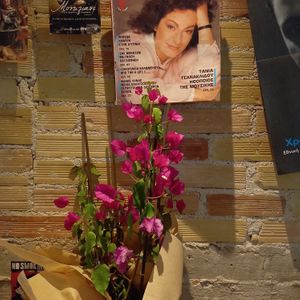 Mother Vegan Cafe Bistro at Mother Vegan Bistro in Athens