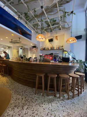   at Mother Vegan Bistro in Athens