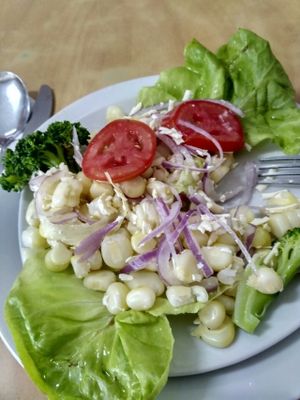 Starter at Vida Sana - Jesus Maria in Lima