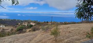  at Camu Camu in La Palma