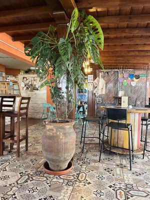   at Camu Camu in La Palma