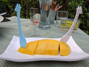 The sweetest mango I ever had. Was picked up from the tree in the garden at Health Me Cafe  in Prachuap Khiri Khan