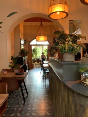 Interior   at Mana in Ghent