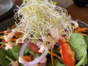 Fresh and tasty side salad  at The Green Edge Cafe and Store in Windsor