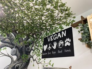 Love the new store space  at The Green Edge Cafe and Store in Windsor