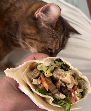  Chicken wrap   at The Green Edge Cafe and Store in Windsor