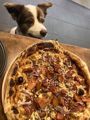 Animal lovers pizza and fan   at The Green Edge Cafe and Store in Windsor