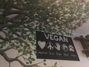 View from my table  at The Green Edge Cafe and Store in Windsor