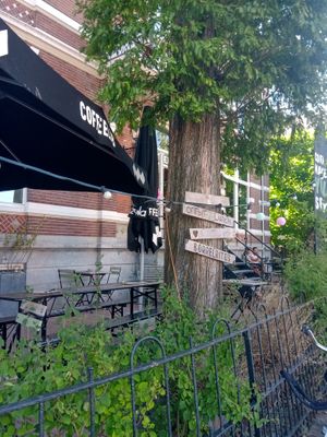 Outside the cafe at Coffeelab in Nijmegen
