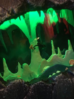 Next to my table at Pizza Cave in Jacksonville