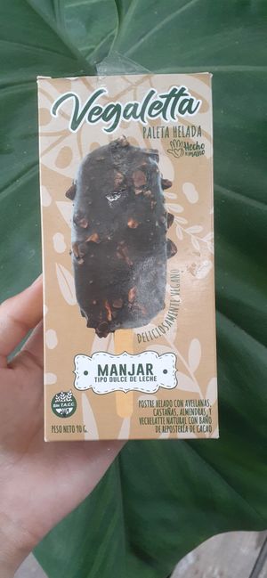 Vegan gluten free dulce de leche ice cream (Yum!) at Kiosko Veganoide in Montevideo