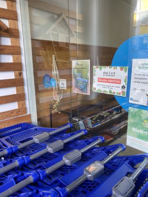 Decal at Miosotis in Lisbon