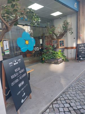 Entrada at Miosotis in Lisbon