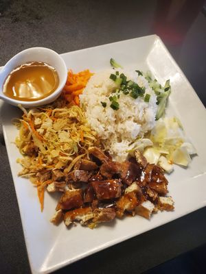 Rice combo platter at V Kitchen in Ann Arbor