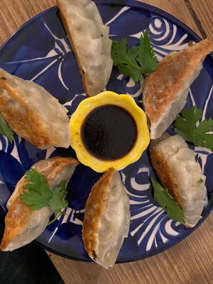 GYOZA at Vegan Ramen Mei in Puerto Vallarta