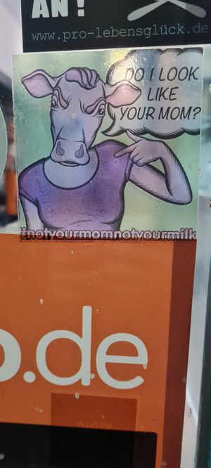 Outside at Vegano Flavors in Berlin