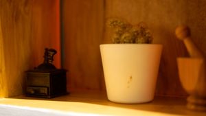 interior at Vegano Flavors in Berlin