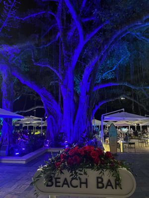   at Moana Surfrider in Honolulu