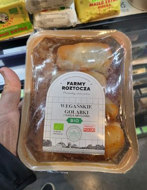 Vegan golabki at Smak Natury in Warsaw