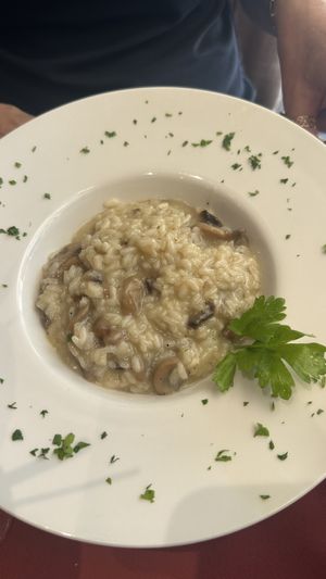 Risotto with mushrooms   at Al Corner in Venice