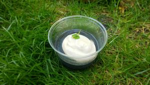 Panna cotta au sesame noir / black sesame panna cotta :) at Itadakizen Paris in Paris