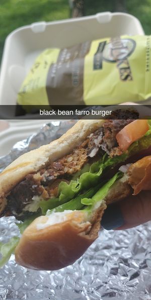 Black Bean Farro Burger at New Holland Brewing in Holland