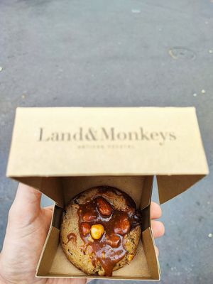  at Land & Monkeys - Beaumarchais in Paris