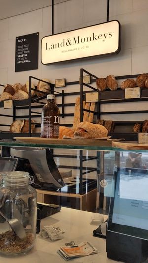  at Land & Monkeys - Beaumarchais in Paris